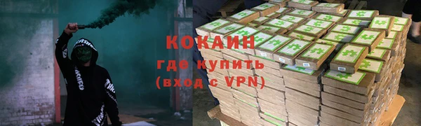 2c-b Гусев